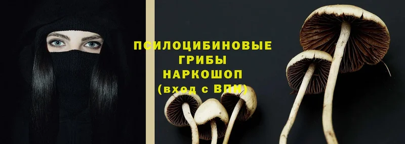 hydra как войти  Красногорск  Галлюциногенные грибы MAGIC MUSHROOMS  как найти наркотики 